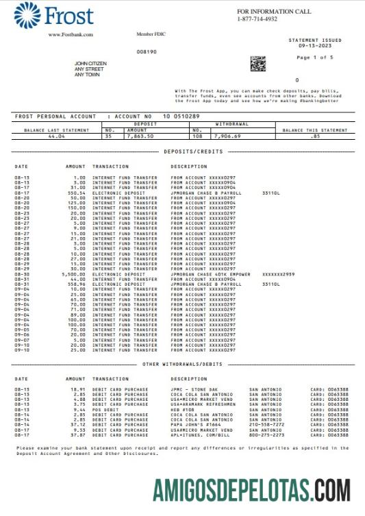 Modelo de extrato bancário USA Frost em branco Word e PDF